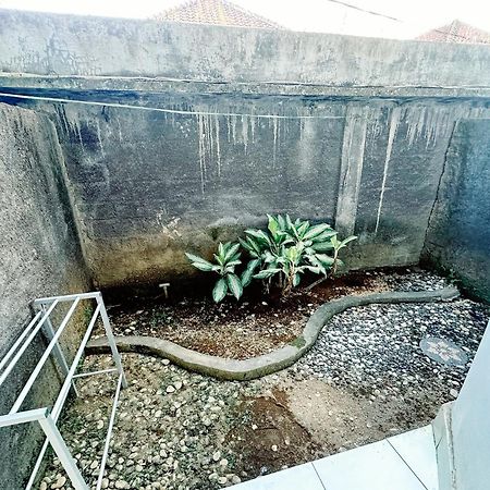 Lembayung Sari Homestay Denpasar Zewnętrze zdjęcie